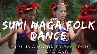 Sumi Naga Folk Dance from Nagaland Beautiful Naga tribal dance NagatraditionalDance SemaNaga [upl. by Ahsiner]