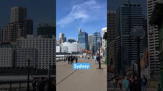 Pyrmont Bridge on a Winters Day sydney sydneycbd [upl. by Ursi]