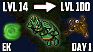 Knight From LVL 14 to 100 in 5 DAYS  Part 1 Day 1 [upl. by Rene]