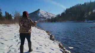 Steelhead Fishing On The Clearwater River [upl. by Anitsuj]