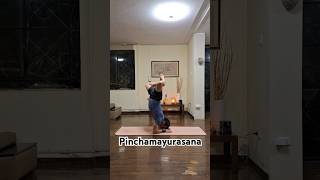 20240713 pinchamayurasana [upl. by Carnahan]