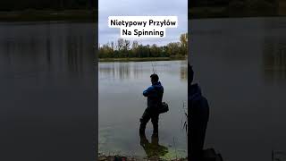 Nietypowy Przyłów Na Spinning fishing nokill ryby szczupak fish wędkarstwo spinning naryby [upl. by Elehcir979]