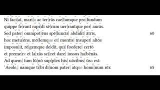 Aeneid Book I 3480 Latin Reading Hexameters [upl. by Ikairik]