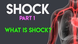 What Is Shock  Shock Pathophysiology  Shock Part 1 [upl. by Oihsoy]