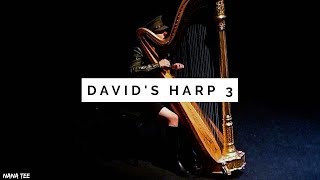 Davids Harp 3  1 Hour Prayer Music  Christian Meditation Music [upl. by Ruffi]