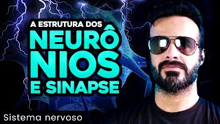 Sistema Nervoso  Estrutura dos neurônios e sinapse  Anatomia Humana  VídeoAula 008 [upl. by Klemm]