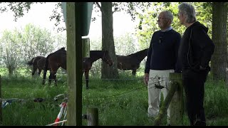 Oud Zevenaar in Vogelvlucht trailer movie [upl. by Elletnuahc]