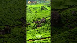 KSTDC  KODAIKANAL – MUNNAR TOUR PACKAGE [upl. by Hajile163]