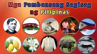 Mga simbolo o Sagisag ng Pilipinas araling Panlipunan [upl. by Annel343]