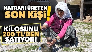 54 Yıldır Katran Üretiyor Kilosunu 200 Liraya Satıyor [upl. by Odarbil]