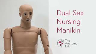 Product Spotlight Anatomy Lab Basic Dual Sex Nursing Manikin [upl. by Novla843]