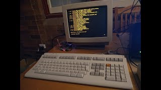 VAX OpenVMS 73 on a VT420 terminal running from simh on Armbian [upl. by Doersten95]