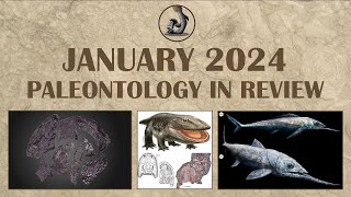 January 2024 Paleontology in Review [upl. by Ardnama]