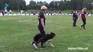 Finals – Niina Svartberg  Vallhunden Mr Hyde  Border Collie – SWEDEN [upl. by Ynnej]