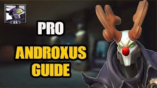 Paladins  Pro Androxus Guide [upl. by Eneleuqcaj658]