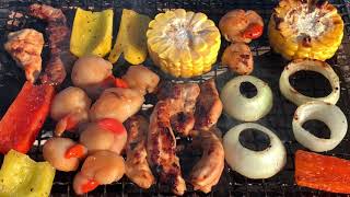 HibachiJapanese Konro Grill amp Binchotan Charcoal  Grilled Dinner amp BBQ  Grand Canal d’Alsace [upl. by Evod]