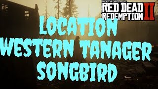 Red Dead Redemption 2 Western Tanager Songbird [upl. by Gaylor]