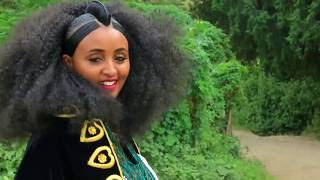 Ethiopian music  Haftom GMichael  Welelaatonወለላኣተን  Ethiopian Tigrigna Music Official Video [upl. by Graaf]