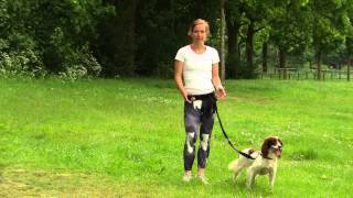 Hardlopen met je hond [upl. by Kcirddehs]