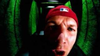 Limp Bizkit feat Method Man N 2 Gether Now [upl. by Eceinej]