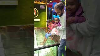 NR Fish Spa Besant Nagar beach and Kovilambakkam 9952085544 youtubeshorts cutebaby funny baby [upl. by Airotcivairam]