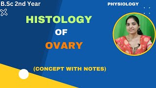 Histology Of Ovary BSc 2nd YearStructure of ovaryovary [upl. by Adelaida]