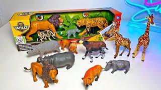 Wild Animals African Animals Set  Lion Tiger Elephant Chimpanzee Hyena Rhinoceros Hippo [upl. by Aivek]