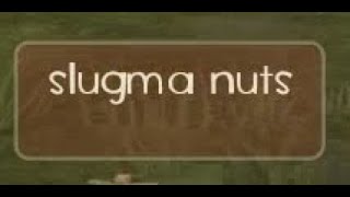 slugma nuts [upl. by Ohare]