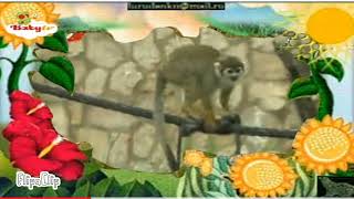 The amazing world baby tv squirrel monkey [upl. by Svetlana175]