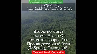 Коран Сура Аль Анам  6103  Чтение Корана с русским переводом Quran Translation quranrecitation [upl. by Kidd]