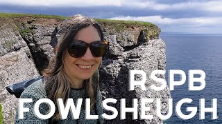 Come puffinspotting with me at RSPB Fowlsheugh in Aberdeenshire [upl. by Esimaj]