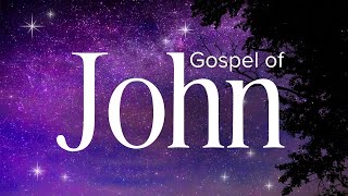 Gospel of John  Abide Audio Bible Holy Bible Audio [upl. by Thatcher]