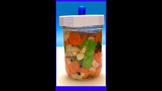 Fermented Italian Condiment Giardiniera 🥕🧄🥬🧅 [upl. by Sax]