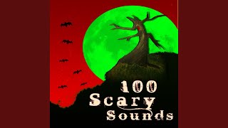 Scary Sounds Thud Impact  Sound Effect  Halloween [upl. by Aridnere311]