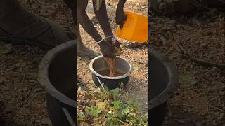 Hadza hunters WASH raw meat before cooking SHOCKING tradition [upl. by Daffy540]