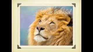 THE BEST THANKSGIVING SONG EVER  THE POWER OF GRATITUDE PRAISE WORSHIP ADORATION APPRECIATION [upl. by Mok]