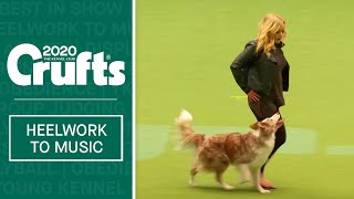 Heelwork To Music Competition  Part 2  Crufts 2020 [upl. by Nnoj]