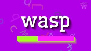 HOW TO SAY WASP wasp [upl. by Holsworth673]