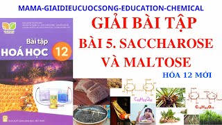 HÓA 12 MỚI HƯỚNG DẪN GIẢI  SACCHAROSE VÀ MALTOSE  SBT KẾT NỐI TRI THỨC [upl. by Zanahs]