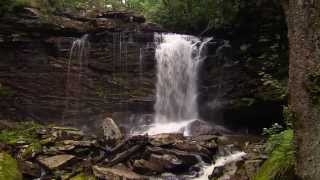 Monongahela National Forest Birthplace of Rivers  Pew amp This American Land [upl. by Ahsim]