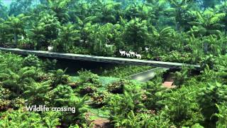 First look Concept video for Mandai nature project [upl. by Ajat917]