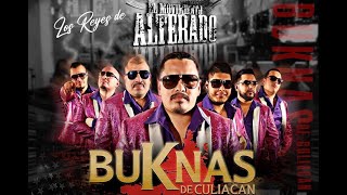 Narcotraficante Corridos de los BuKnas de Culiacán  en la gira de MOVIMIENTO ALTERADO 2024 [upl. by Lemert793]