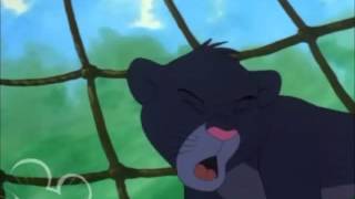 Baloo Shouts Bagheera  Baloo crie Bagheera [upl. by Lalitta]