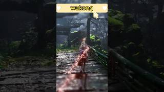 Wukong combat wukong vairalvideo [upl. by Eugnimod66]