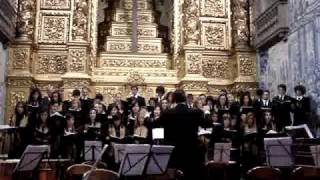 «Bonum est» e «Cantate Domino» de Robert Führer Coro Igreja de S Victor Braga [upl. by Enitsyrk]