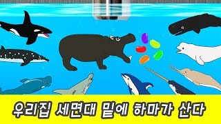 한국어ㅣ우리집 세면대 밑에 하마가 산다 무법자 하마의 침입편 어린이 동물 만화ㅣ꼬꼬스토이 [upl. by Garwin]