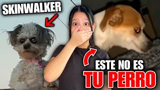 CUIDADO ESTE NO ES TU PERRO ES UN SKINWALKER😱 ANIMALES ACTUANDO COMO HUMANOS Regina MH [upl. by Secor]