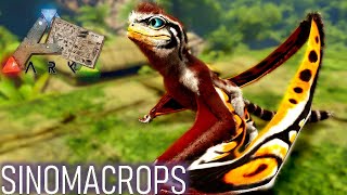 SINOMACROPS  TAMINGCAPACITÉS Dino Dossier 📖 [upl. by Sayres212]