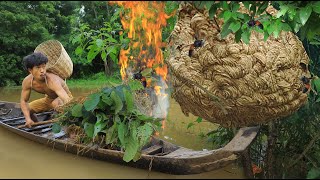 life in jungle  Eating cucumber meet wasp nest [upl. by Liv]