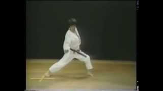 9 Bassai Dai Kata Faixa Marron Shotokan Karate [upl. by Ellynad668]